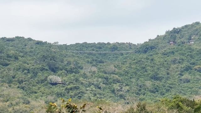 Шаг над Пропастью: СТЕКЛЯНЫЙ МОСТ в Горах КИТАЯ!