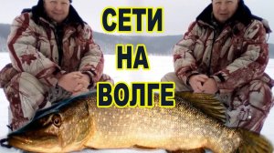 разговор про сети на Волге