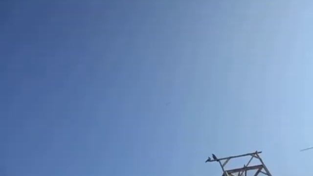 СВЕРДЛОВСКАЯ ПТИЦА ) И ПЕРМСКИХ ГРИУНОВ ГОНЯЮ ОТДЕЛЬНО )) смотреть онлайн