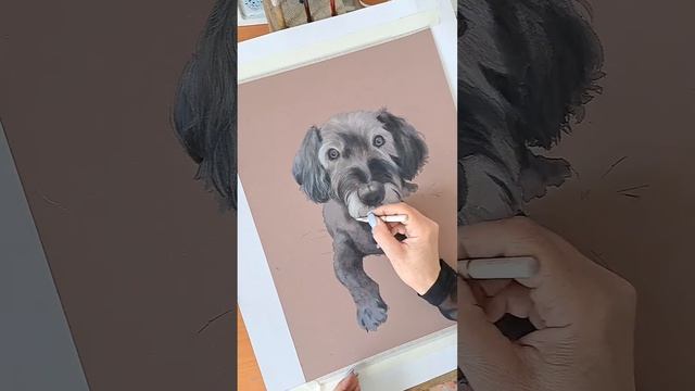 Анималистика. #животные #рисунокживотных #животныепастелью, #рисунокпастелью #анималистика #пастель