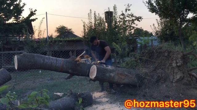 Спил на автовышке, выкорчевка, расчистка погрузчиком и вывоз на камазах, вообщем бомбическая работа смотреть онлайн