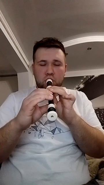 Известная казачья песня на Блокфлейте Любобратцылюбо!