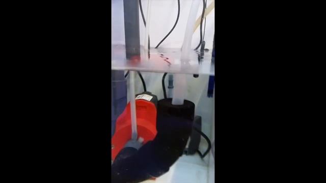 AIO Pellets @ 24hrs смотреть онлайн