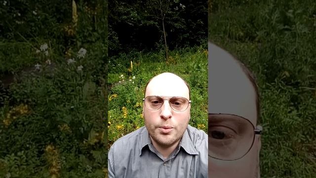 РИТМ-ВР 13. В. Ратнер, Переводы Документов, Составление Лебенслауф, Бевербунги (Резюме), в Германии