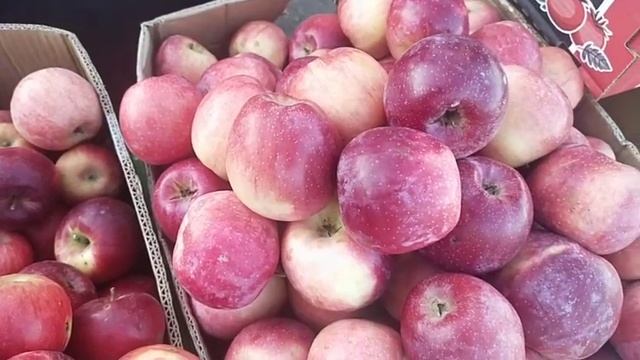 РЫНОК БЕРКАТ!!!#грозный смотреть онлайн