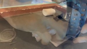 G-Shock GG-1000 Battery Replacement