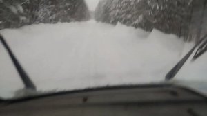 ЛОСЕРЕЙСЫ часть 1