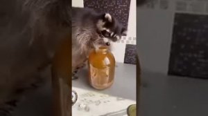 Вот как-то так,но никак иначе