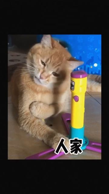 哇叽，这是你的电动牙刷还是电动洁面仪？ смотреть онлайн