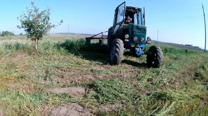Працює Т-40 АМ + роторна коса, косимо картоплиння... .ua.