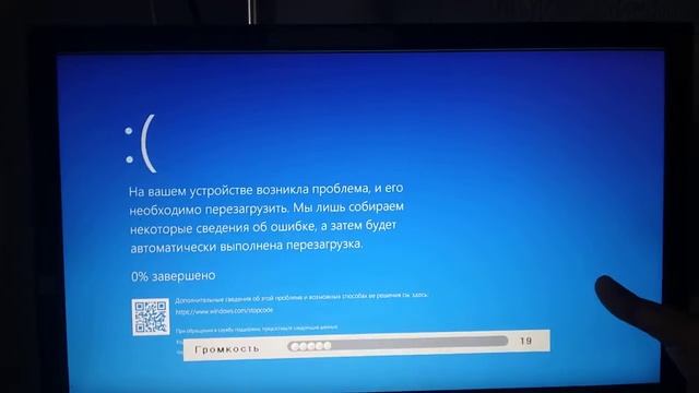 Murka,Малыш,Рыжуля,Мурзя has BSOD смотреть онлайн