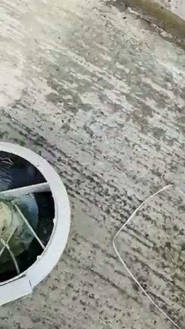 Вентилятор с сюрпризом. Такого мы не ожидали!