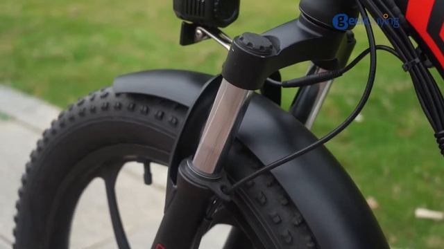 FAFREES F20 Electric Bike: Incredible Beautiful!