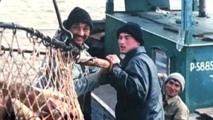 Это фото потрясло весь мир. Вы не поверите, вот что поймали рыбаки в море!