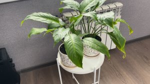 ЛеманаПро стол почти ИКЕА👍 Собираю кофейный столик