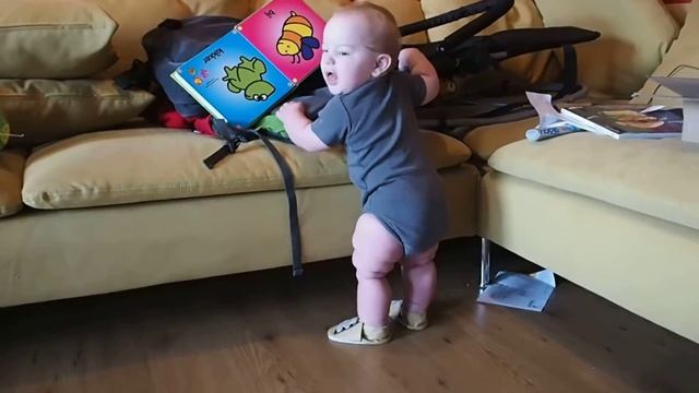 Кай в тапках, встает и садится, 7.5 смотреть онлайн