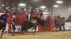 Bull Riding - Winter Series March 14, 2020