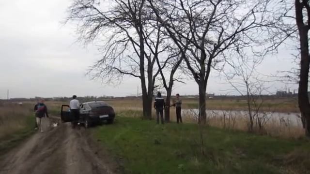 как не надо пилить деревья