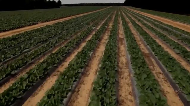 HBCU students get new agriculture business center