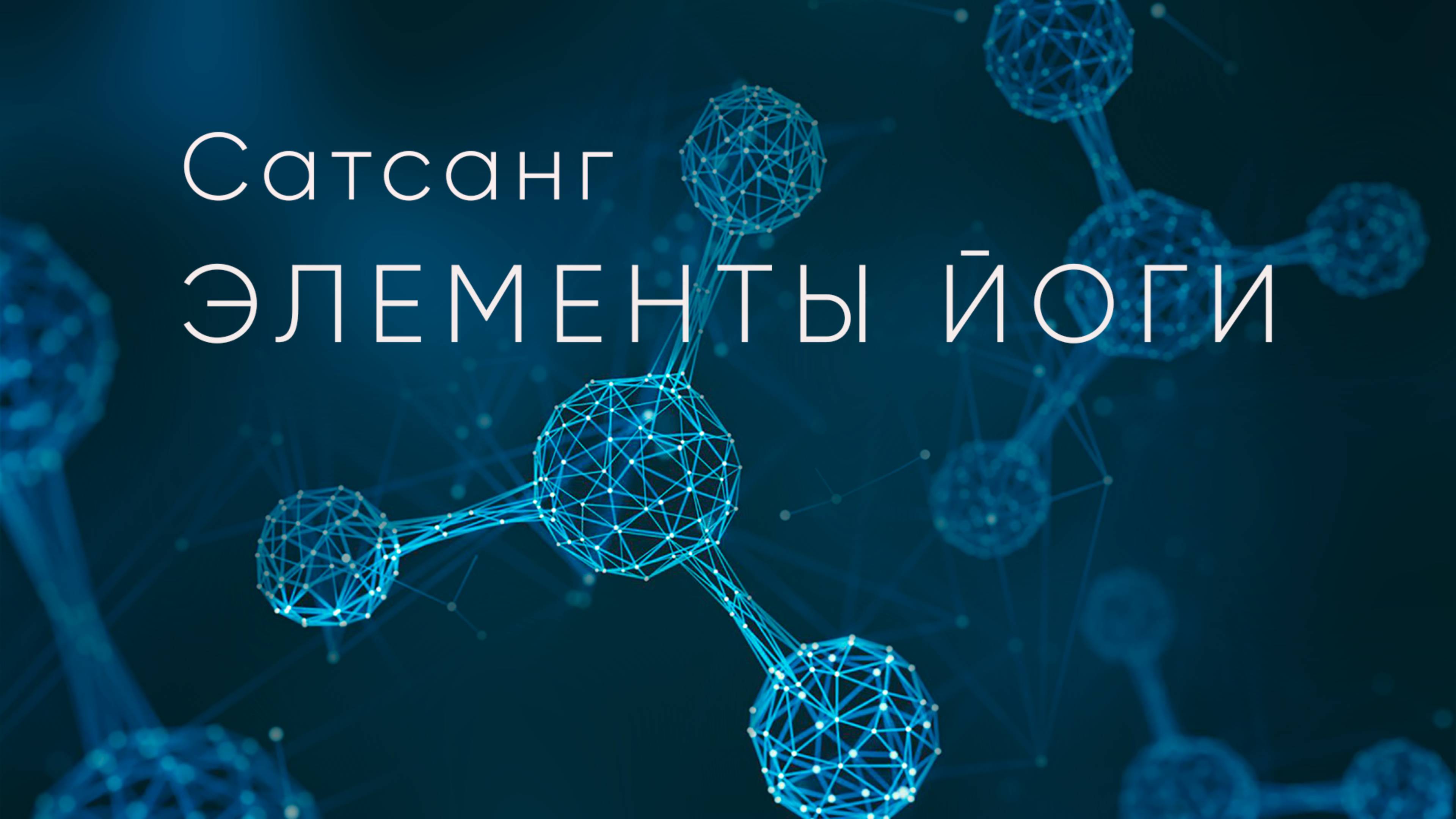 Сатсанг "Элементы Йоги" -  26.01.2025 #Самоотдача #PurnaYoga
