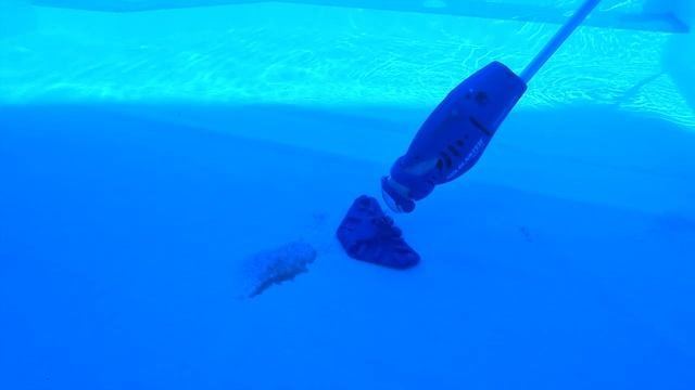 Ручний пилосос для басейну   Watertech Pool Blaster MAX CG