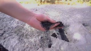 Переозвучка а4 с матом