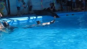 ДЕЛЬФИНАРИЙ. ДЕВОЧКА КАТАЕТСЯ НА ДЕЛЬФИНЕ.