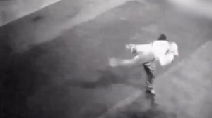 Monkey style (Hou Quan, 猴拳), 1961