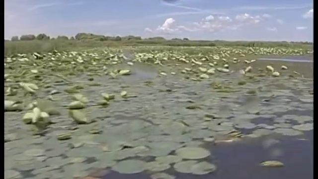 Выпуск новостей "Наше время. Астрахань", 20.01.2011 смотреть онлайн