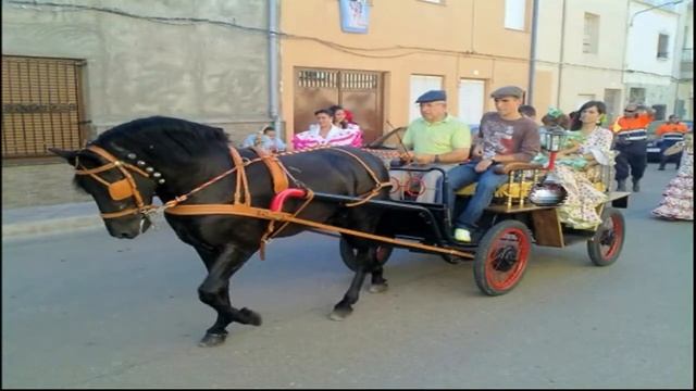 Montealegre del Castillo (Fiesta Rociera) 2010 смотреть онлайн