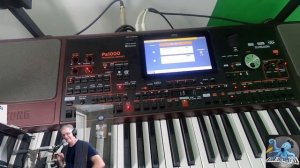 Korg PA1000 Vocalizer + Eff