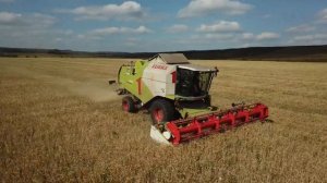 Уборка пшеницы