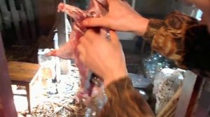 Разделка тушки нутрии .Cutting nutria carcasses.