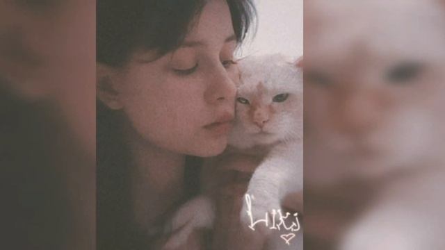 растопила в сердце лёд.. смотреть онлайн