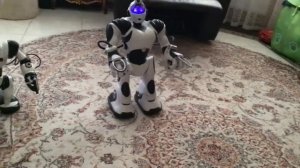 Роботы WoWWee