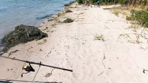 Рыбалка  на амура в р.Дон. Старочеркаск.