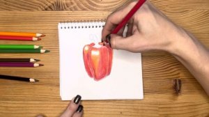 Как нарисовать цветными карандашами "Болгарский перец" | Рисунок для начинающих поэтапно и легко