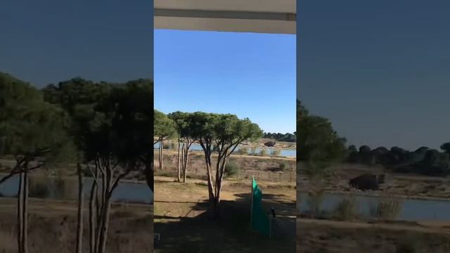 Тренди лара смотреть онлайн