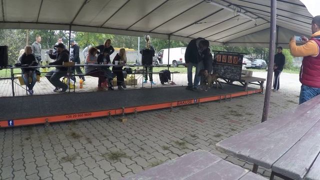 1% Negative Weight Pulling Füge 400 kg смотреть онлайн