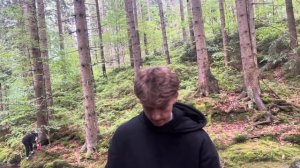 Самый лучший 🍵 ЧАЙ ПОКАЖУ ВАМ КИТАЙСКИЙ ЧАЙ ПУЭР).  #чай #tea #лес #отдых #пуэр #самый #лучший