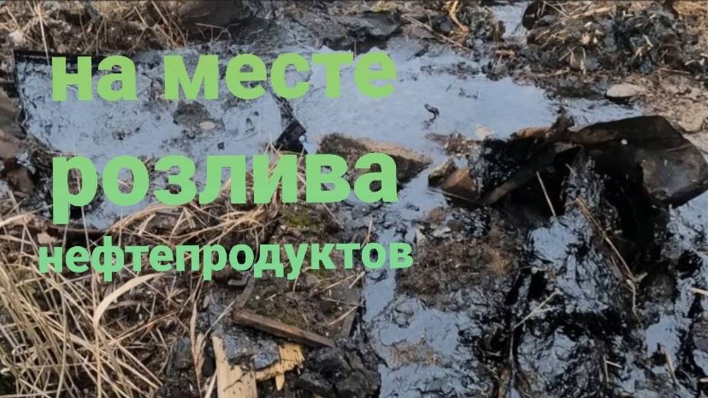 Металлокоп(Металлосбор)2025/Отличный результат за пару часов/Цена на приёмке не растёт.