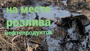 Металлокоп(Металлосбор)2025/Отличный результат за пару часов/Цена на приёмке не растёт.