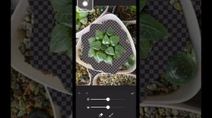 Как сделать стикеры и эмодзи для Телеграм😉Создаём набор эмоджи для Телеграм бесплатно👍