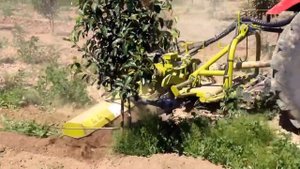 Calderoni фреза. ООО Дельтафрут. Июнь 2014г.