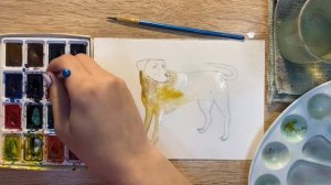 Как нарисовать лабрадора карандашом и акварелью начинающим | Рисунок для детей