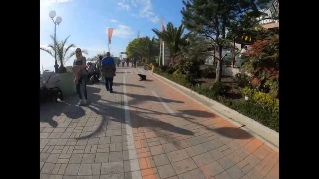 502-1 Аренда Сочи-Адлер смотреть онлайн