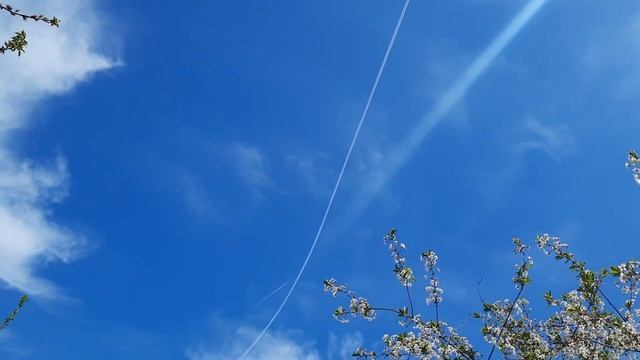 Прямые полосы от химтрейлов. 6 мая 2021 года. г.Шахты. смотреть онлайн