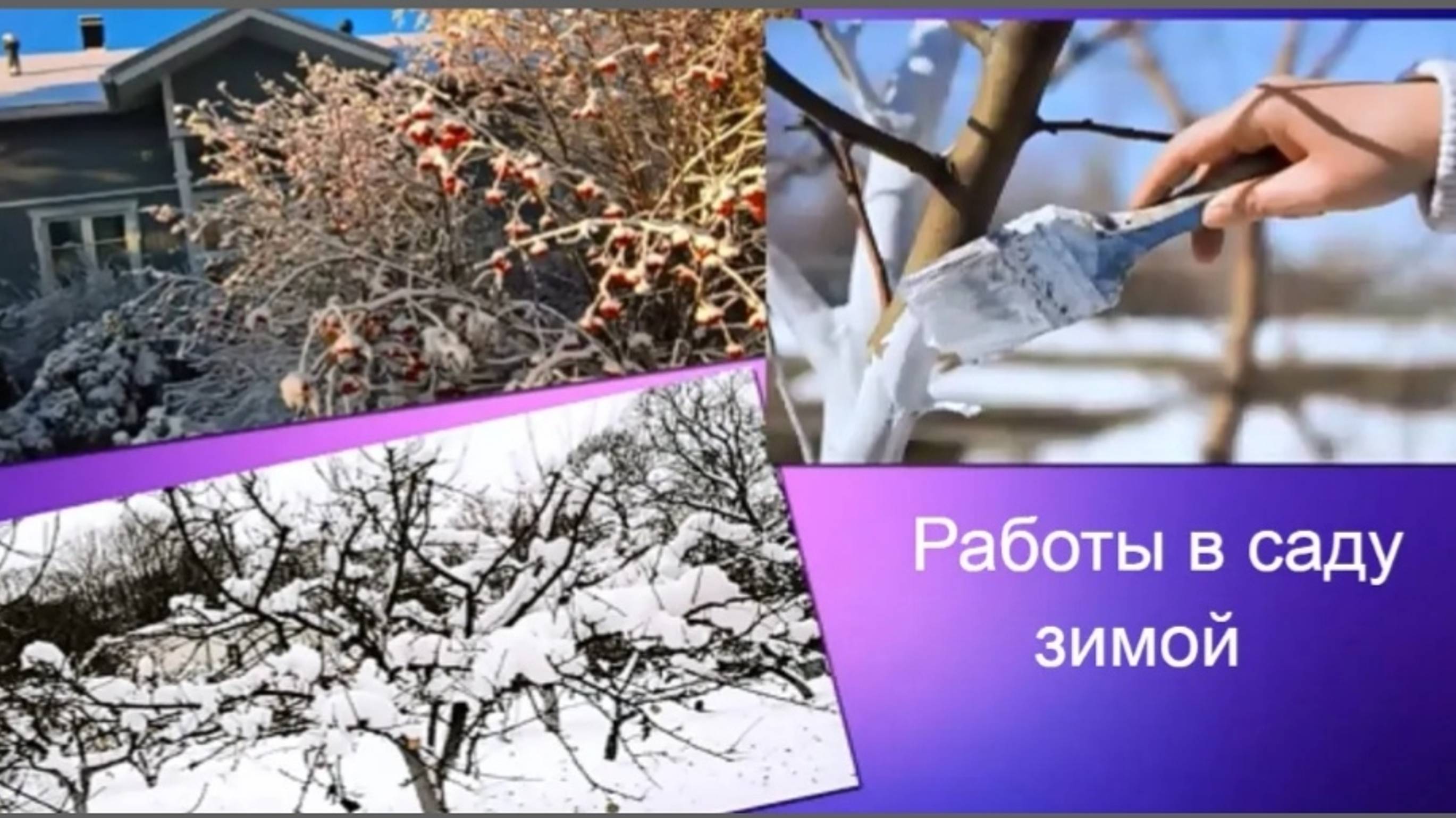 10 дел необходимых сделать в феврале-марте дачникам смотреть онлайн