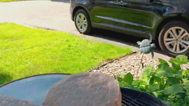 Getting ready to put my burgers on the charcoal grill. 6/1/2024 смотреть онлайн