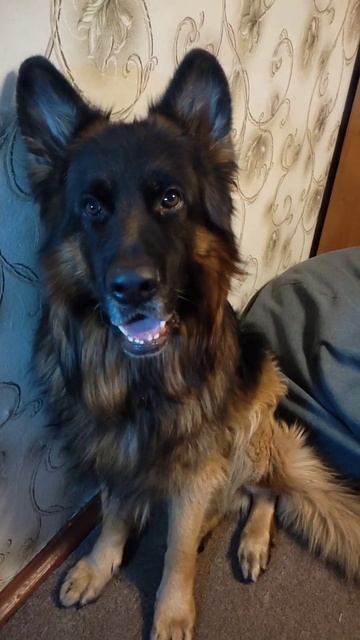 Моя бубочка 🥰